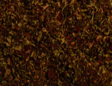 Preview: Berberitzemitblueten2