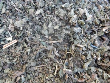 Preview: brennesselblätter räuchern