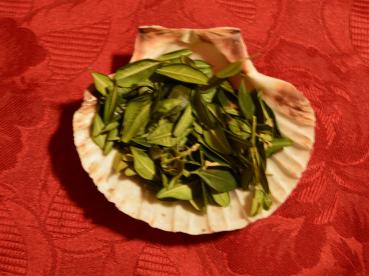 Buchsbaum Blätter zum Räuchern (Buxus sempervirens)