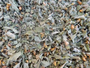 Preview: gilbweiderich zum räuchern