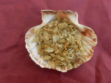 Hopfen (Wilder Hopfen) Bio-Qualität zum Räuchern (Humulus lupulus)