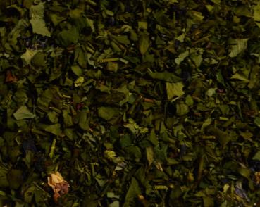 Preview: immergruen2