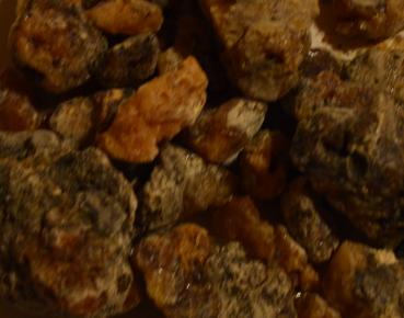 Preview: kieferharz2