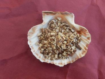 Löwenzahnwurzel zum Räuchern