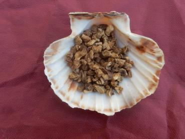 Teufelskralle zum Räuchern