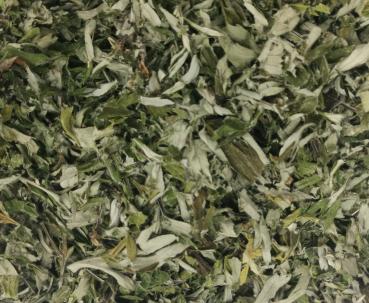 Preview: beifussblaetter2