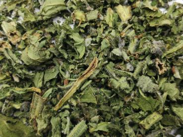 Preview: beinwellkraut2