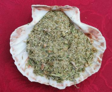 Berufskraut Bio-Qualität zum Räuchern (Erigeron)