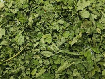 Preview: brombeerblaetter2