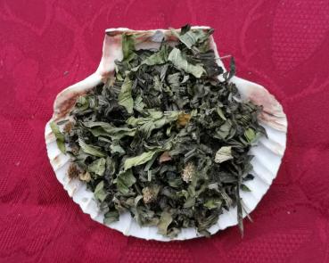 Huflattich Blätter Bio-Qualität zum Räuchern (Tussilago farfara)