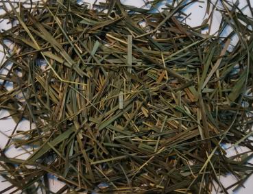 Preview: mariengras1