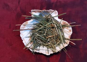 Mariengras geschnitten zum Räuchern