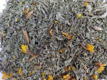 Preview: nachtkerze2