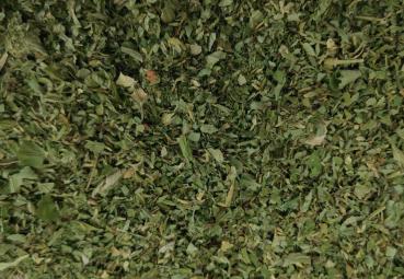 Preview: nelkenwurz2