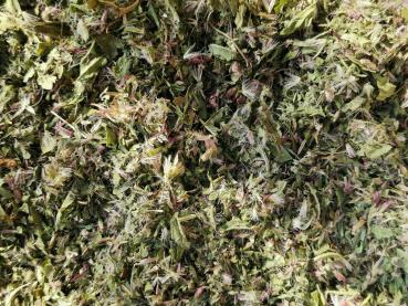 Preview: wasserdost2