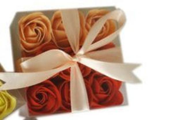 Geschenkbox mit 9 Baderosen -terrakotta/pfirsich-