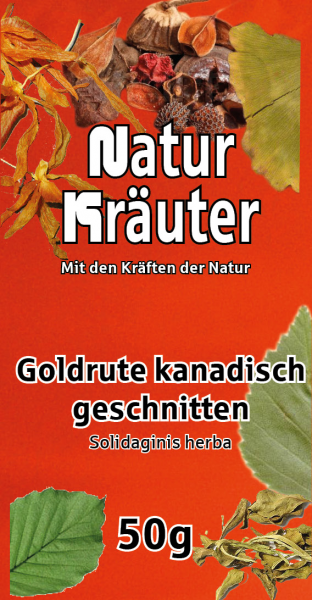 Kanadische GoldruteTee
