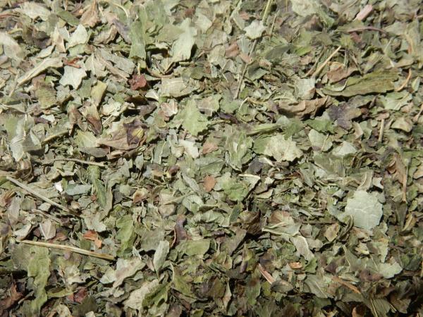 Melissenblätter räuchern