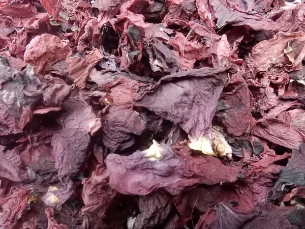 Klatschmohn räuchern