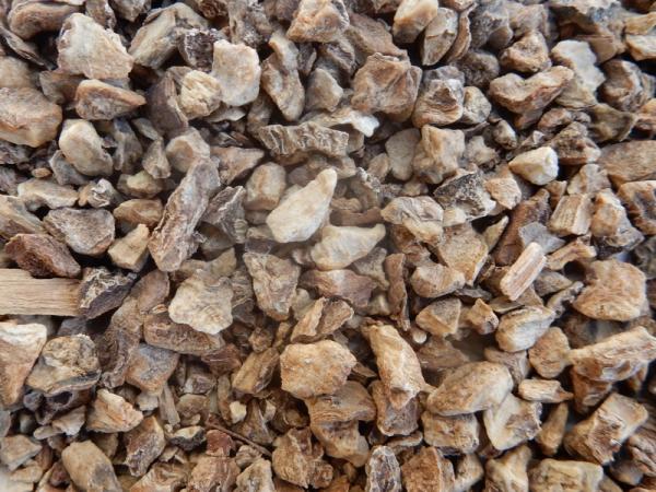 teufelskralle zum räuchern