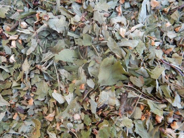 Weißdornkraut zum räuchern