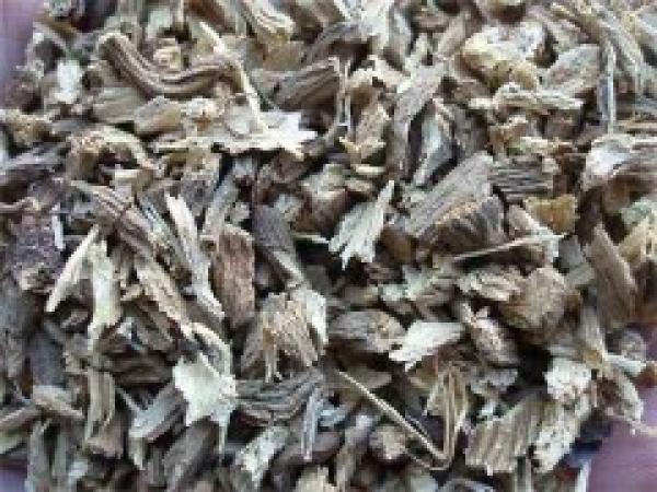 sonnenhut geschnitten