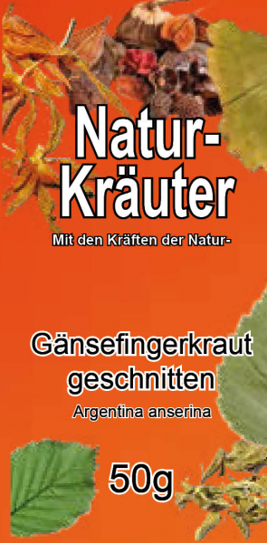 gänsefingerkraut tee