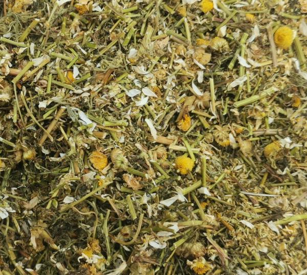 Kamille geschnitten zum Räuchern (Matricaria chamomilla L.) - die Echte Kamille