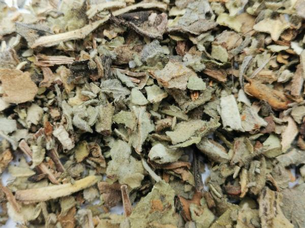 koenigskerzenblaetter2